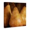 Stupell Industries Rustic Vintage Pears Canvas Wall Art Design by Caroline Kelly